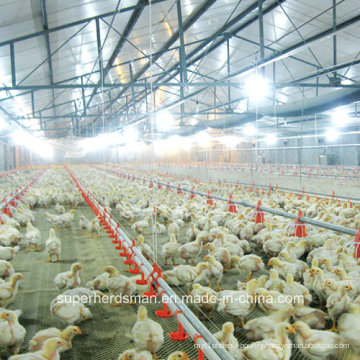 Automatic Chicken House Equipment for Broiler Farm